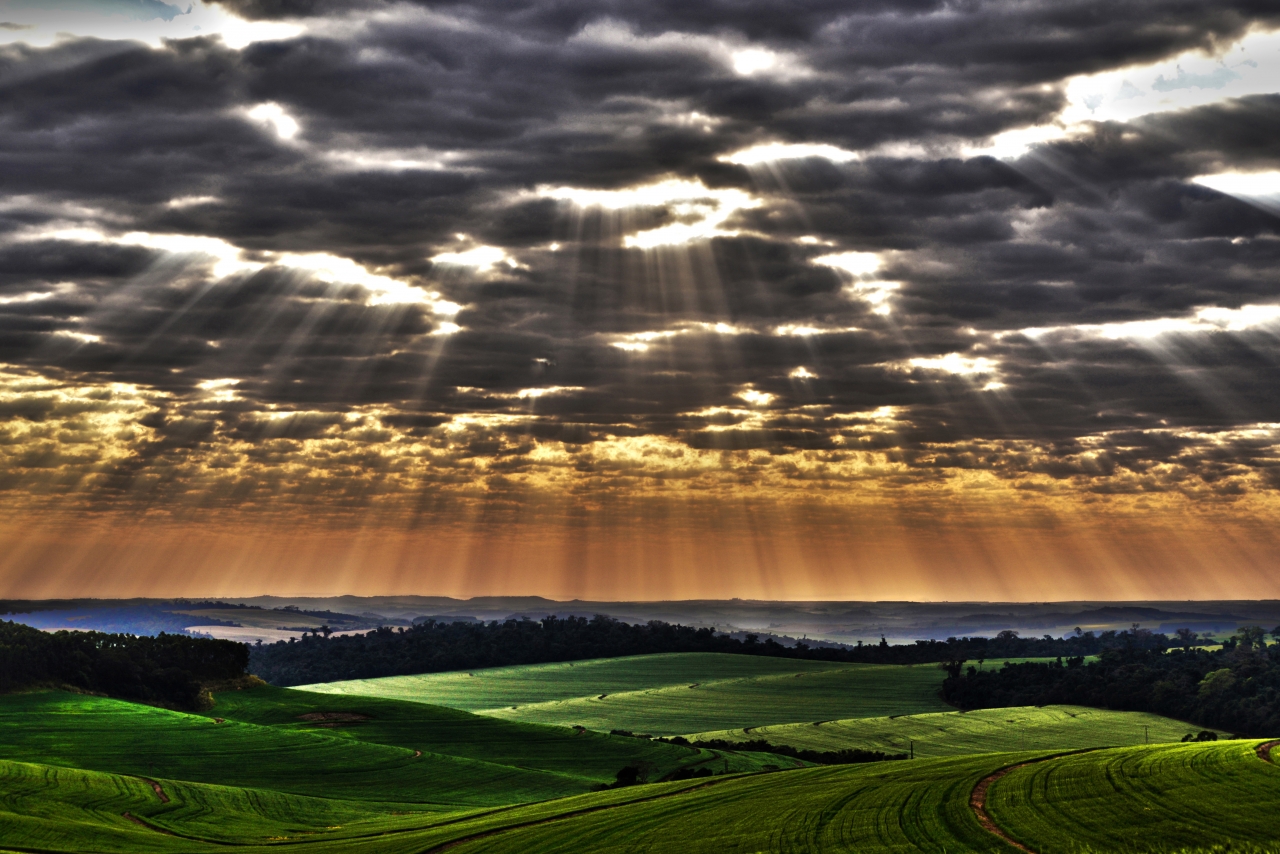 1o lugar aficionado geral - foto 54 - Flavio Benedito Conceição - Raios de sol sobre o trigo